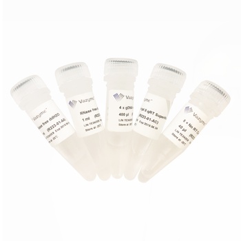 HiScript II Q RT SuperMix for qPCR (+gDNA wiper)