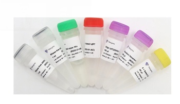 HiScript II Q Select RT SuperMix for qPCR (+gDNA wiper)