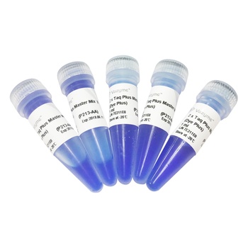 Vazyme - 2 × Taq Plus Master Mix II (Dye Plus