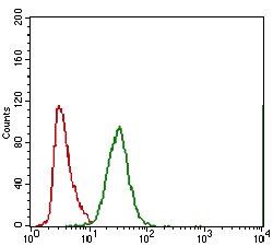 ABCC4 Antibody