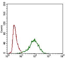 ABCC4 Antibody