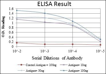 ABCG2 Antibody