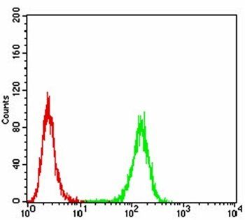 AIM2 Antibody