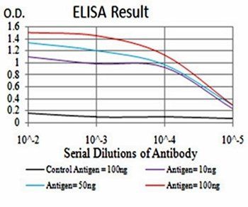 AIM2 Antibody