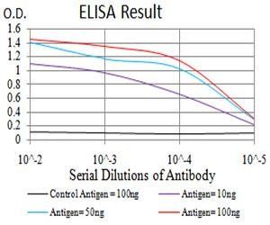 AKT1 Antibody