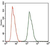 ALDH2 Antibody