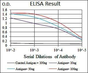 ALPL Antibody