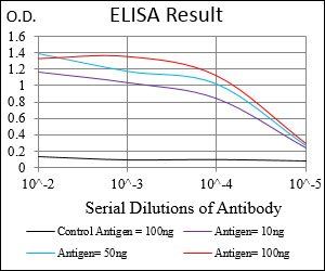 ANPEP Antibody