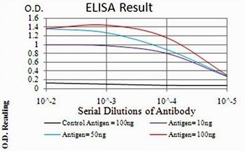 ANXA5 Antibody