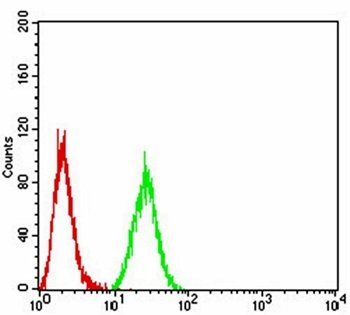 AOF1 Antibody