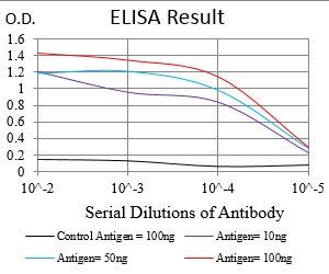 APBB1IP Antibody