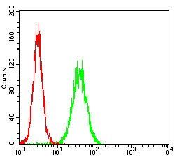 APBB1IP Antibody