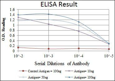 ApoB Antibody