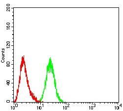 ARF1 Antibody