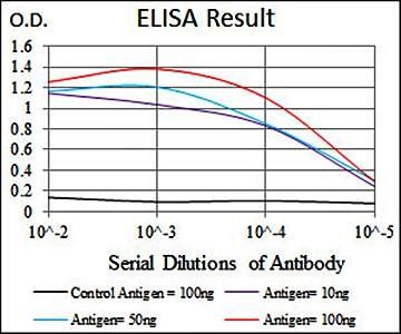 ARHGDIA Antibody