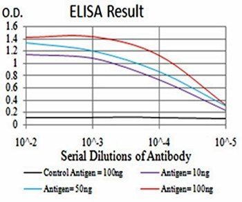 ATF3 Antibody