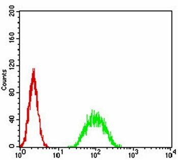 ATF3 Antibody