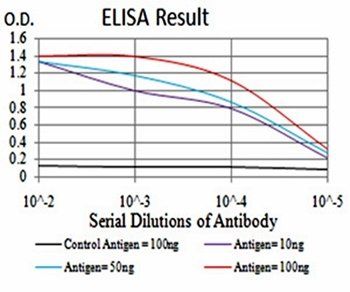 ATG14L Antibody