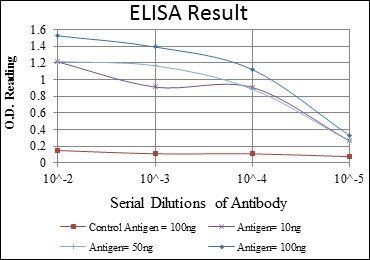 AURKA Antibody