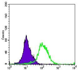 AURKA Antibody