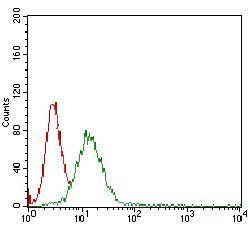 B2M Antibody