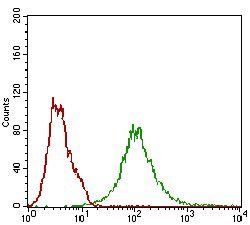 BACE1 Antibody