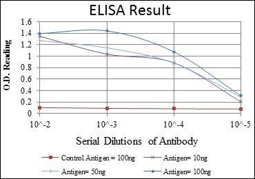 BECN1 Antibody