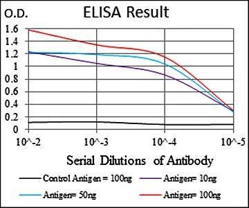 BIRC5 Antibody