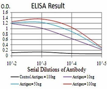 BMP2 Antibody