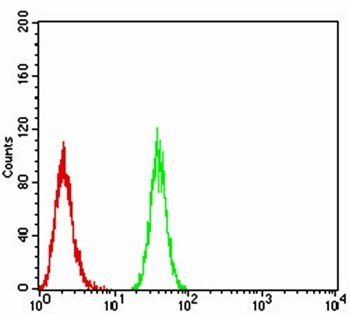 BMP2 Antibody