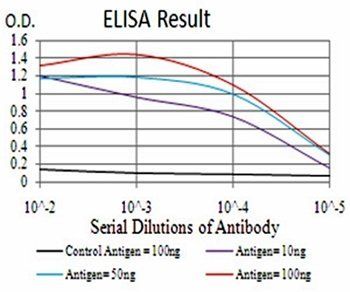 BMP2 Antibody