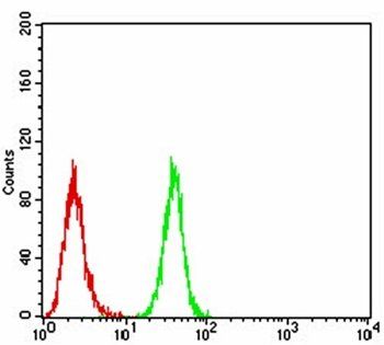 BMP2 Antibody