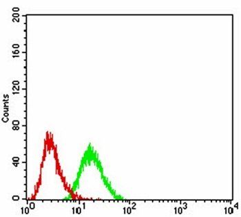 BMP7 Antibody