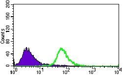 BMPR1A Antibody