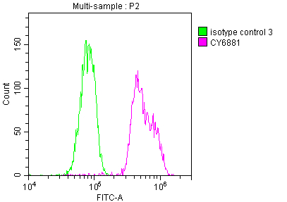 BUB1B Recombinant Monoclonal Antibody