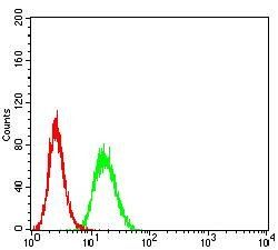 C3C Antibody