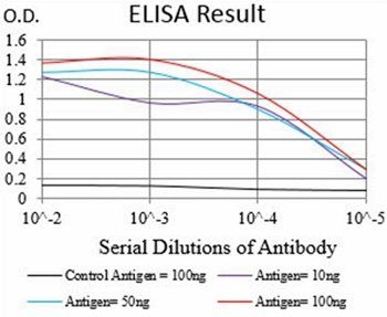 CAV2 Antibody