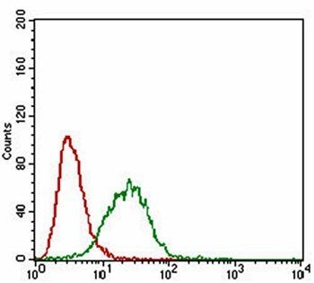 CAV2 Antibody