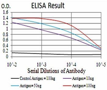 CBX3 Antibody