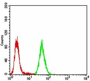 CBX4 Antibody