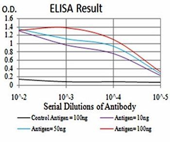 CBX5 Antibody