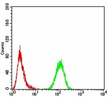 CBX5 Antibody