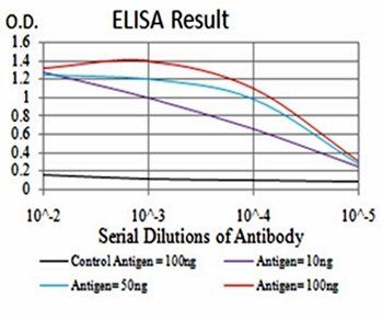 CBX5 Antibody