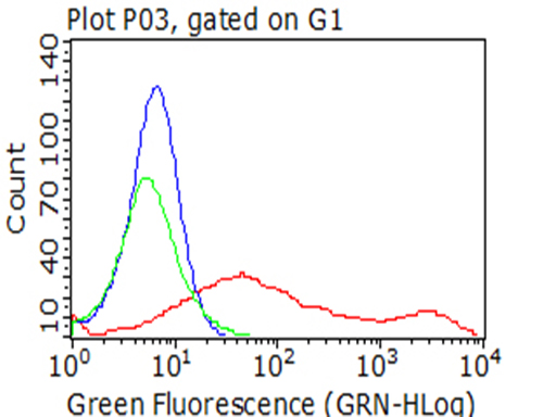 TNFRSF9 Antibody