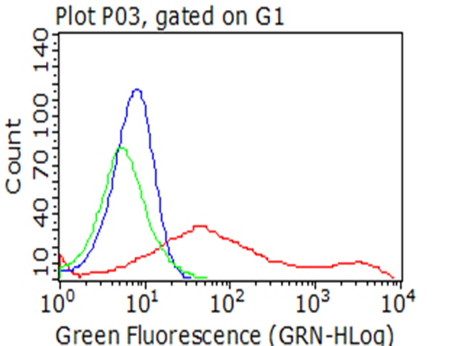 CD137 Antibody