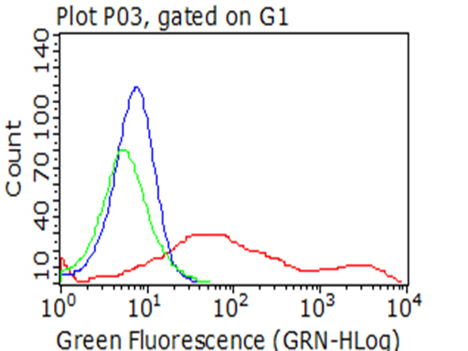 CD137 Antibody