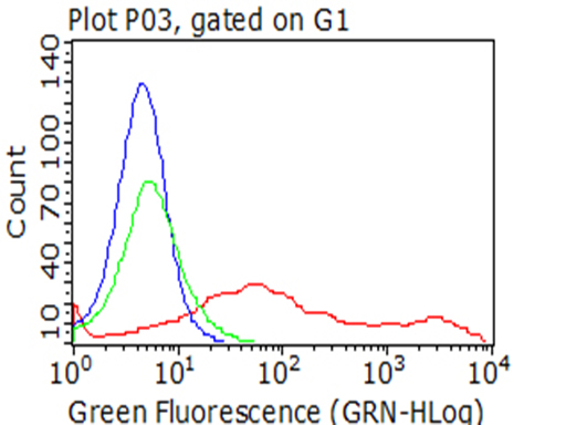 TNFRSF9 Antibody