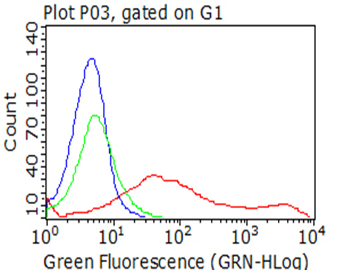 CD137 Antibody
