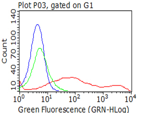 CD137 Antibody