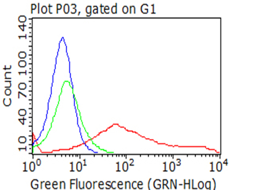 TNFRSF9 Antibody